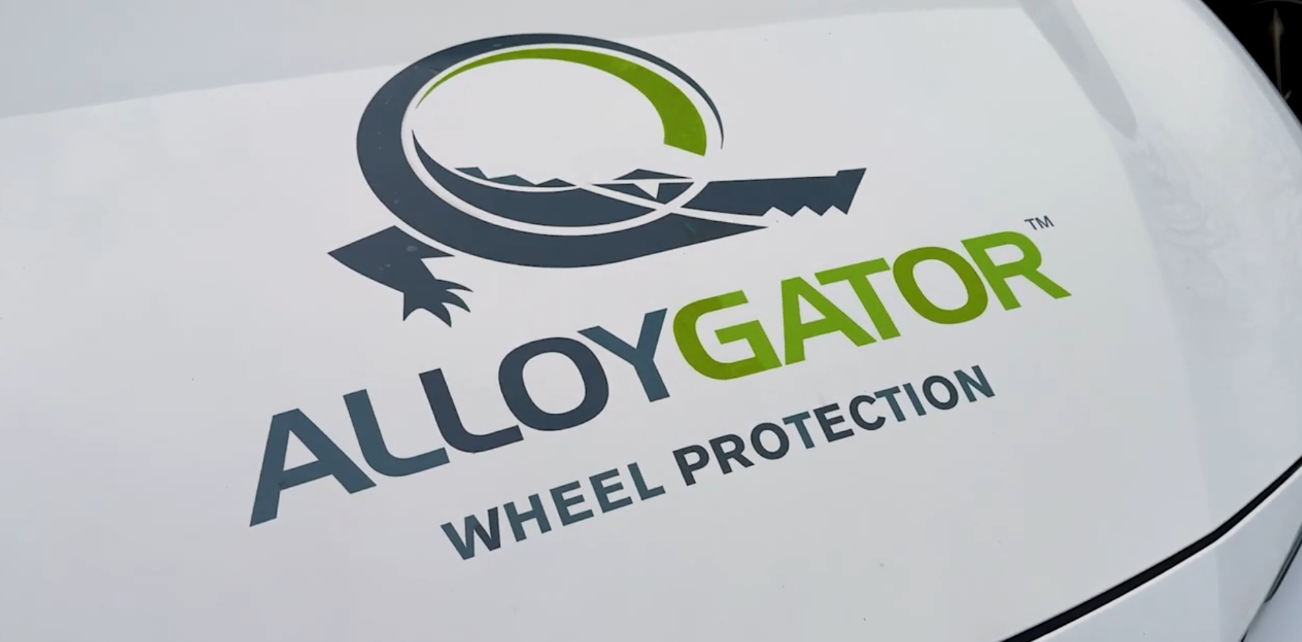 Alloygator