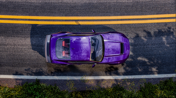 2080-GP258 PLUM EXPLOSION [7]