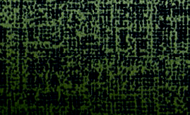 Canvas Champagne Gold SH2CSCVC [3]