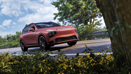 3M 2080-S23 Satin Velvet Rose [6]