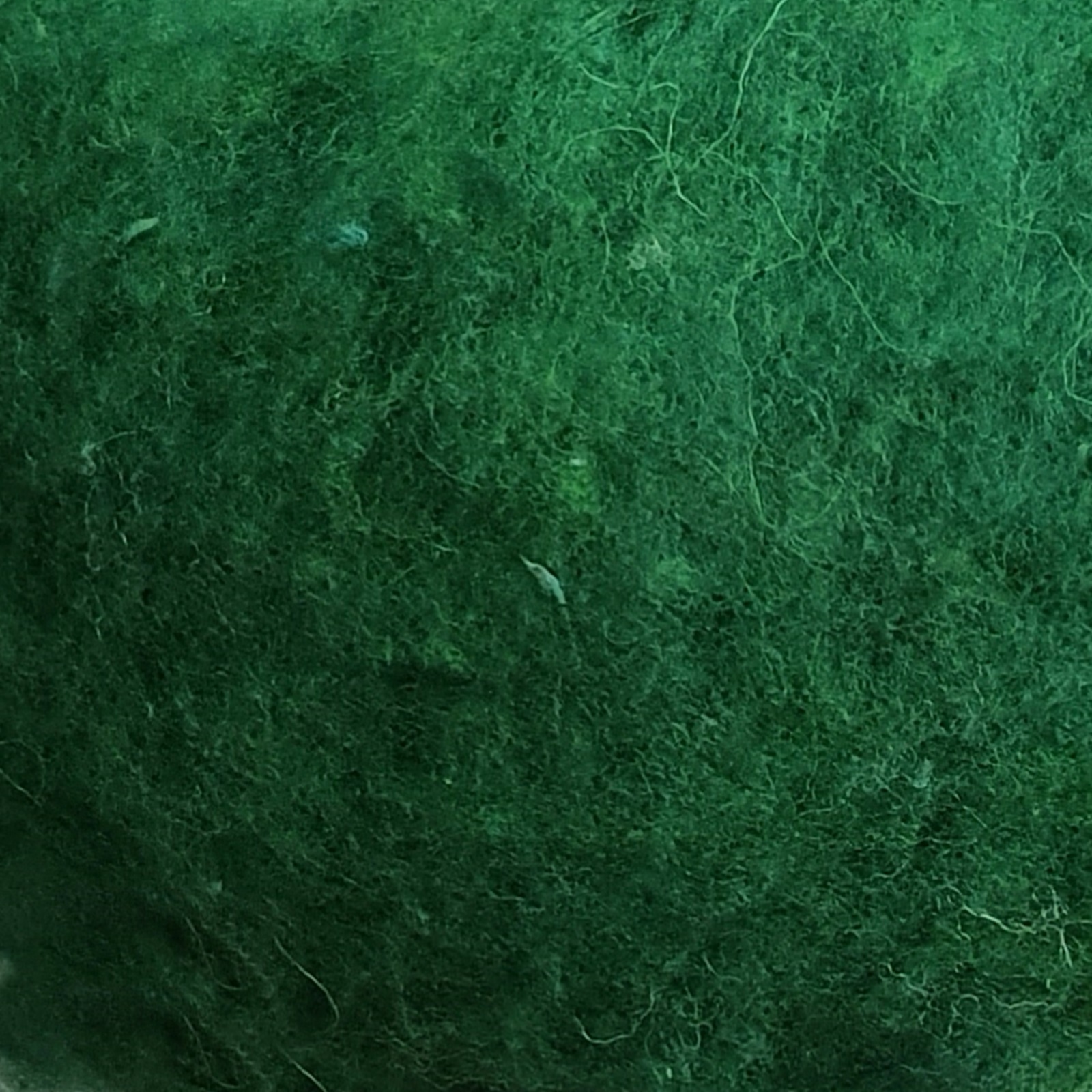 verde brad lana