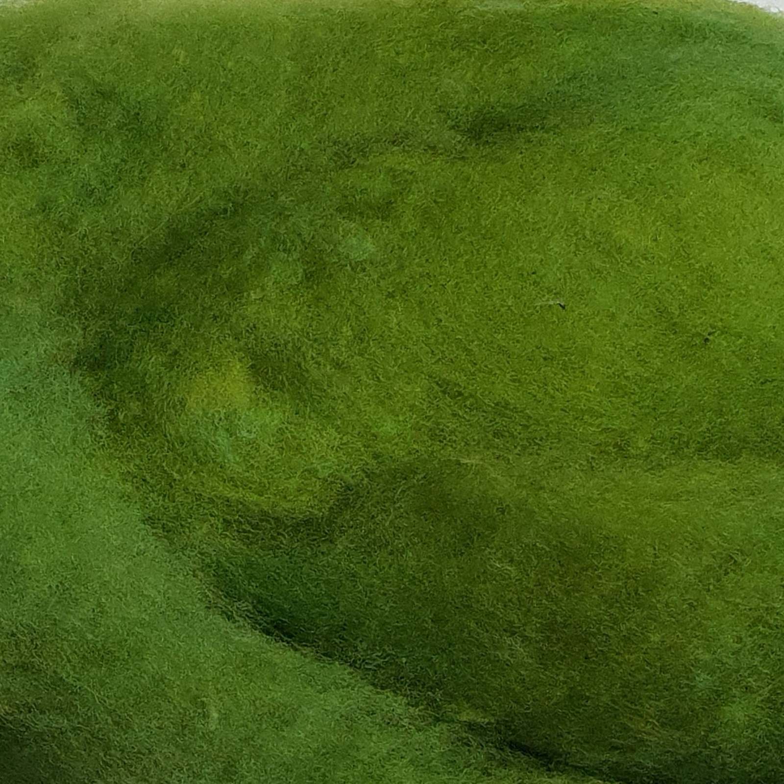 verde iarba lana