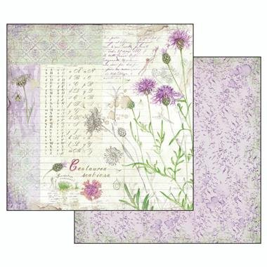 album-scrapbooking-herbarium-sbbl29-stamperia [7]