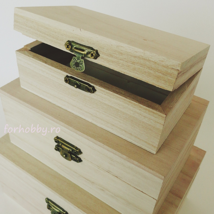 cutii-dreptunghiulare-din-lemn-natural-diverse-marimi [2]