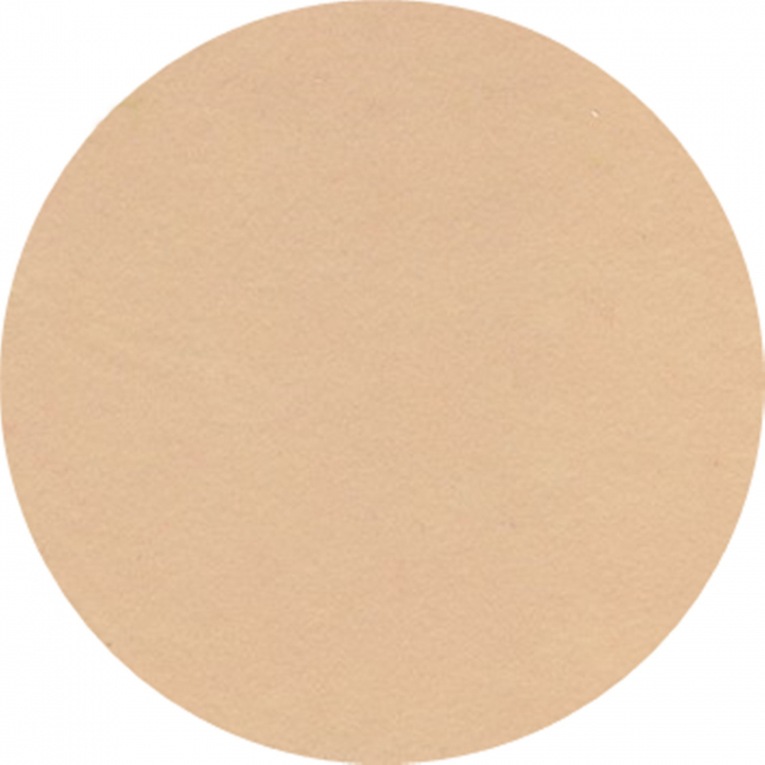 fetru-a4-20x30cm-1mm-grosime-set-10-bc-pentart-23157 [1]