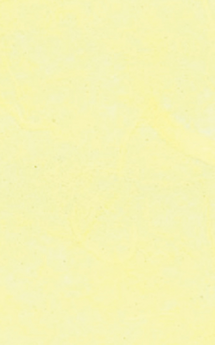 hartie-orez-monocrom-70x100cm-stamperia-dftvg001 [2]