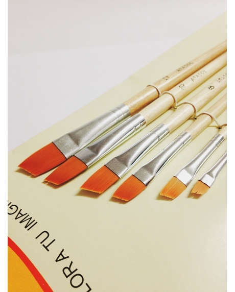 set-6-pensule-varf-oblic-par-sintetic-2-12 [2]
