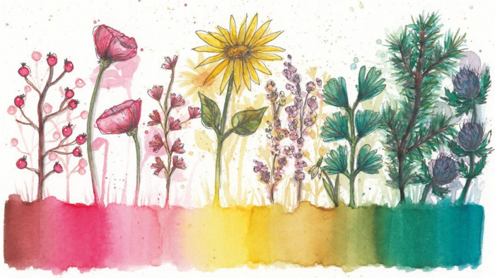 marker-acuarelabil-2-capete-staedtler-design-journey-18-culori [2]