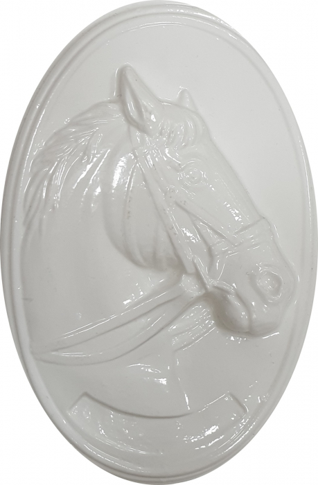 forma-pentru-turnat-ipsos-placuta-cal-1 [2]