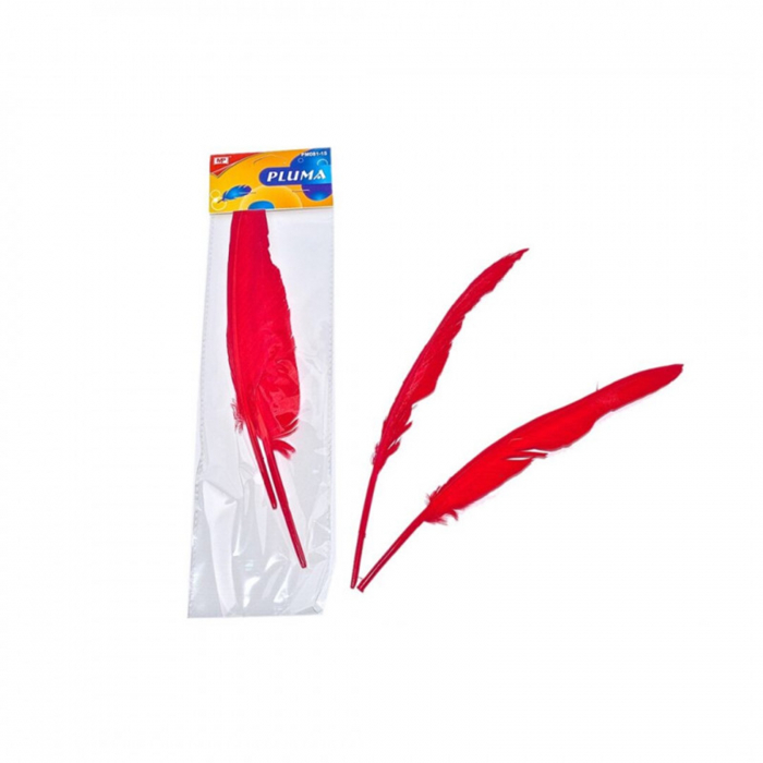 pene-decorative-de-gasca [2]