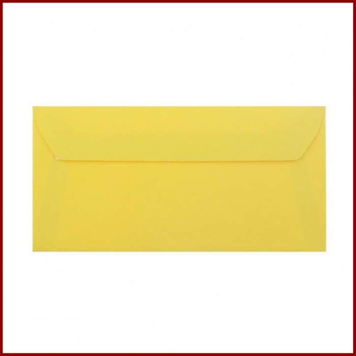 Plicuri colorate DL [2]