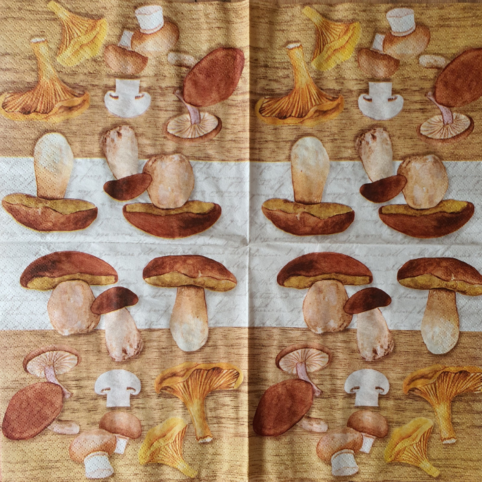 servetel-pentru-tehnica-decoupage-ciuperci-2 [1]