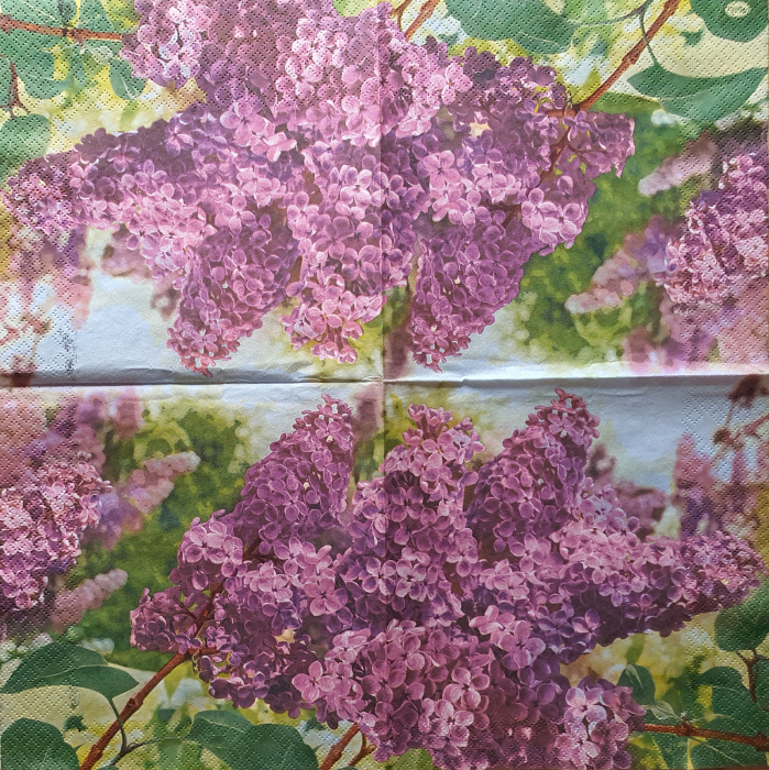 servetel-pentru-decoupage-33x33cm-lavanda [1]