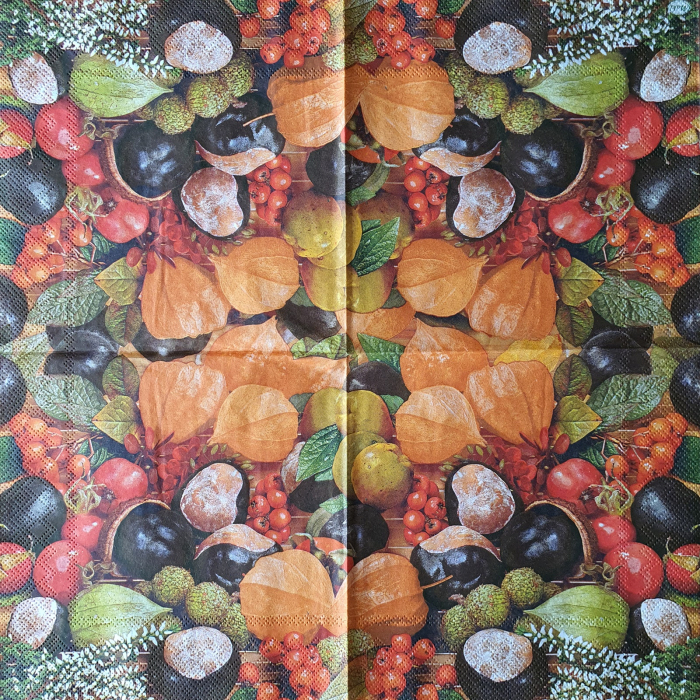 servetel-pentru-tehnica-decoupage-toamna [1]