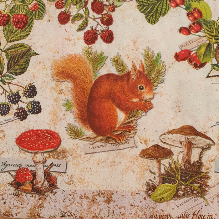 servetel-pentru-decoupage-33x33cm-veverita [1]