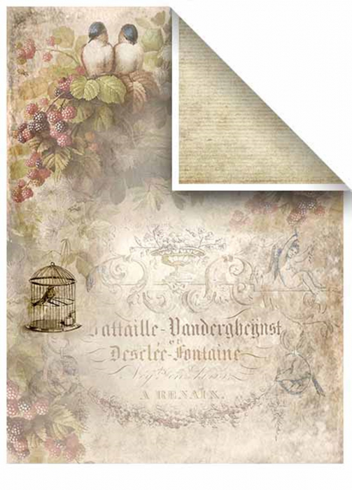 set-5-cartoane-scrapbooking-lace-dreams-itd-collection-scrap006 [13]
