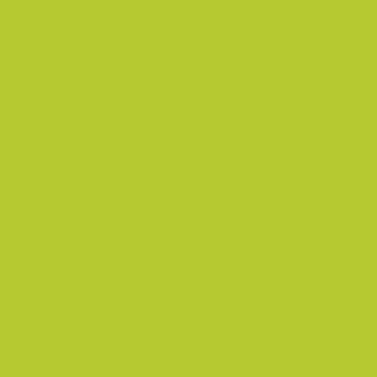 vopsea-neon-pentru-textile-30-ml-pentart [2]