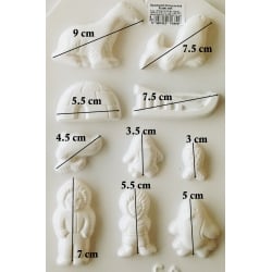 matrita-pentru-turnat-polul-nord [1]