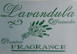 Sabloane plastic flexibile - Sablon plastic flexibil - Model lavanda