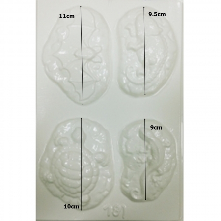 forma-pentru-turnat-ipsos-fosile [1]