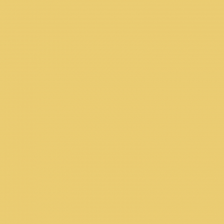 Pigmenti - art-mica-pulbere-minerala-fina-perlat-9g-pentart