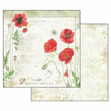 album-scrapbooking-herbarium-sbbl29-stamperia [10]