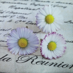 Servetele - servetel-floral-20