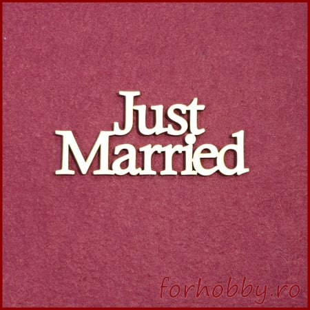 Cifre,litere,cuvinte - figurina-din-lemn-just-married