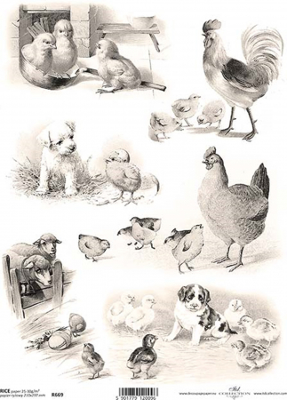 hartie-de-orez-de-pasti-itd-collection-r0669 [1]