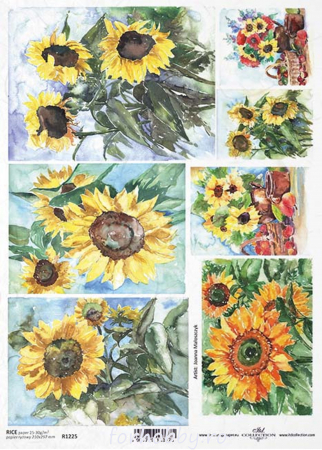 hartie-de-orez-picturi-cu-floarea-soarelui-itd-collection-r1225 [0]