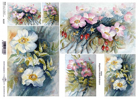 hartie-de-orez-picturi-cu-flori-de-maces-itd-collection-r1237 [1]