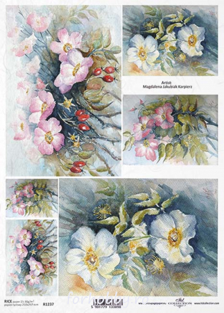 hartie-de-orez-picturi-cu-flori-de-maces-itd-collection-r1237 [0]