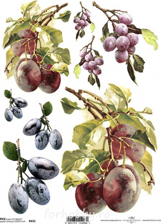 hartie-de-orez-prune-itd-collection-r0435 [1]
