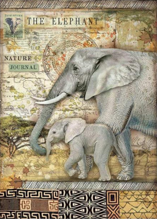 Hartie de orez - hartie-de-orez-a4-stamperia-dfsa4684-elefant-savana