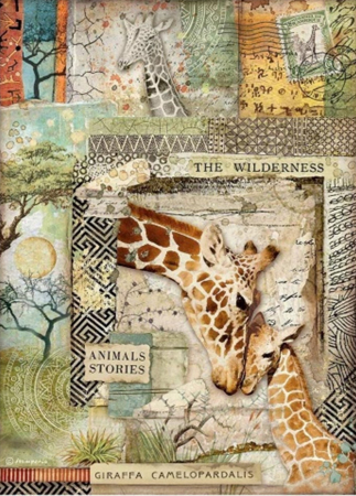 Hartie de orez - hartie-de-orez-a4-stamperia-dfsa4685-girafa-savana