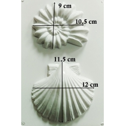 matrita-pentru-turnat-ipsos-pentart-scoici [1]