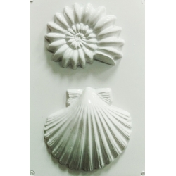 matrita-pentru-turnat-ipsos-pentart-scoici [0]