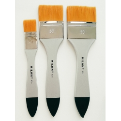 pensula-plata-tip-bidinea-premium-milan-seria-631 [0]