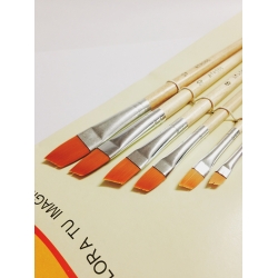 set-6-pensule-varf-oblic-par-sintetic-2-12 [1]