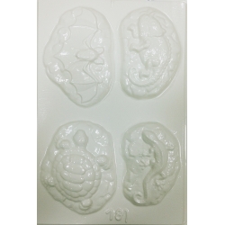 forma-pentru-turnat-ipsos-fosile [0]