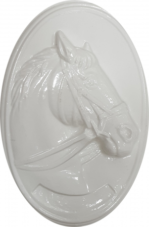 forma-pentru-turnat-ipsos-placuta-cal-1 [1]