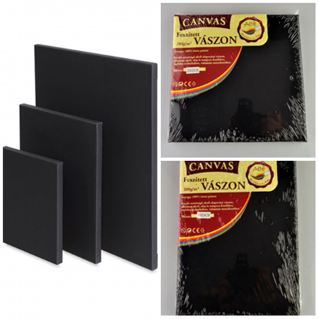 Arta plastica - panza-neagra-pictura-pe-sasiu-bumbac-280g-ach