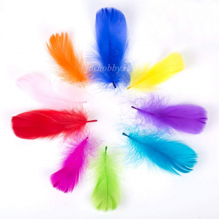 pene-decorative-de-strut-lungime-9-16-cm-20bc