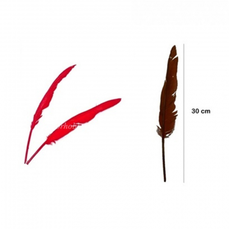 Pene decor - pene-decorative-de-gasca