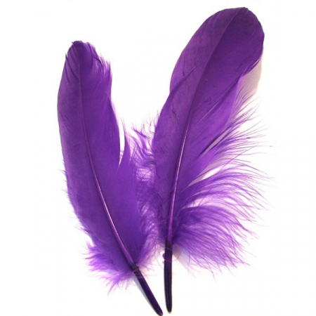 pene-decorative-de-gasca-20cm-diverse-culori [1]