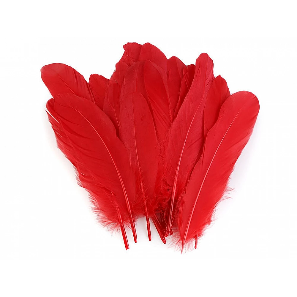 Pene decor - pene-decorative-de-gasca-20cm-diverse-culori