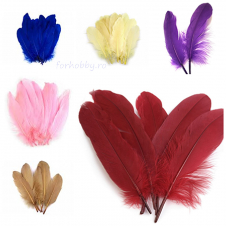 Pene decor - pene-decorative-de-gasca-20cm-diverse-culori