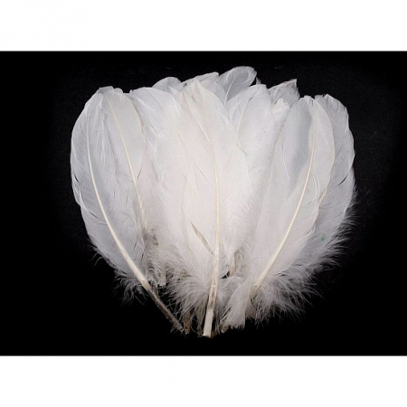 Pene decor - pene-decorative-de-gasca-20cm-diverse-culori