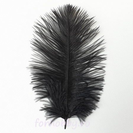 pene-decorative-de-strut-20-25cm [1]