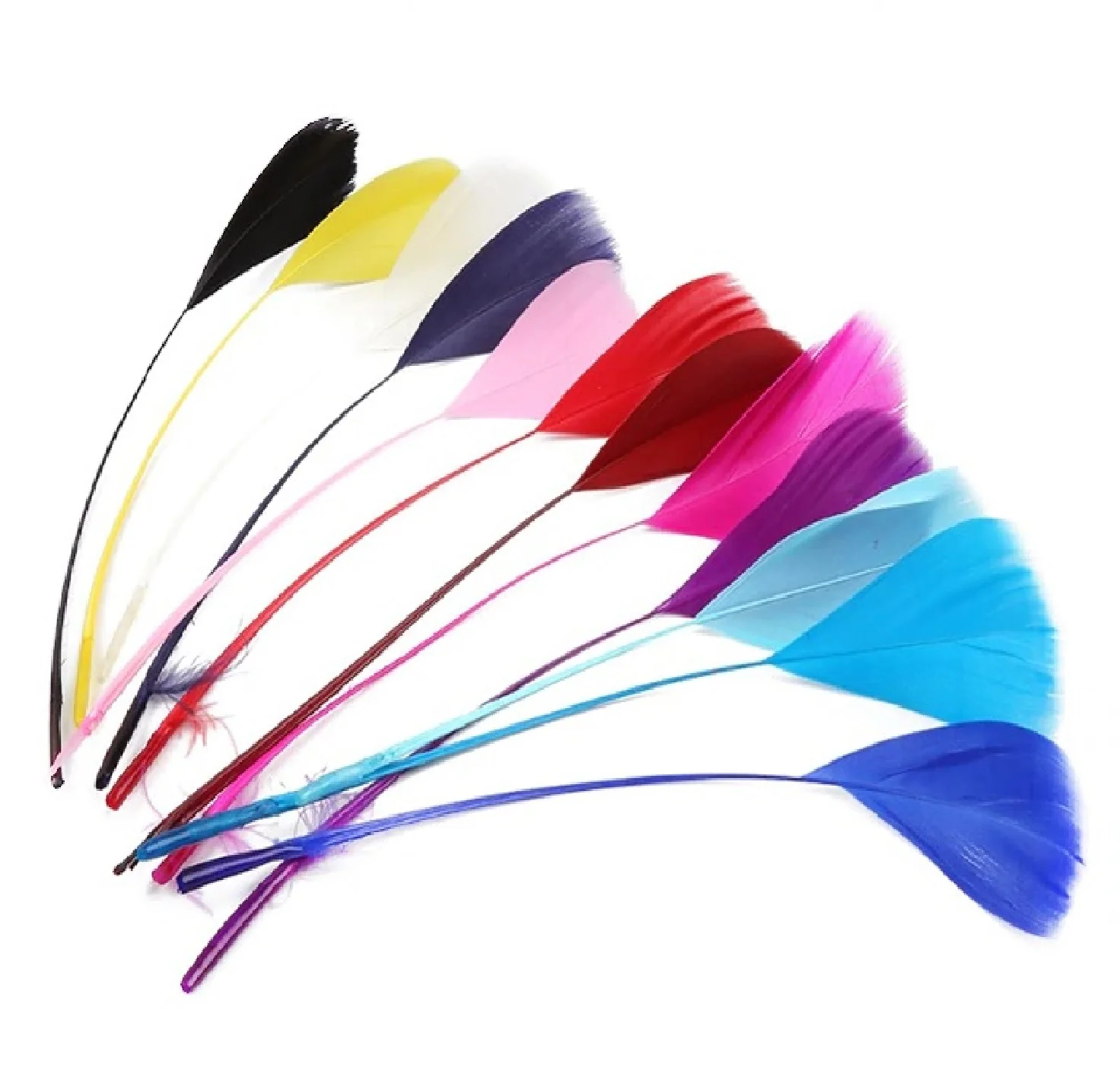 pene-decorative-taiate-de-curcan-14cm-diverse-culori [1]